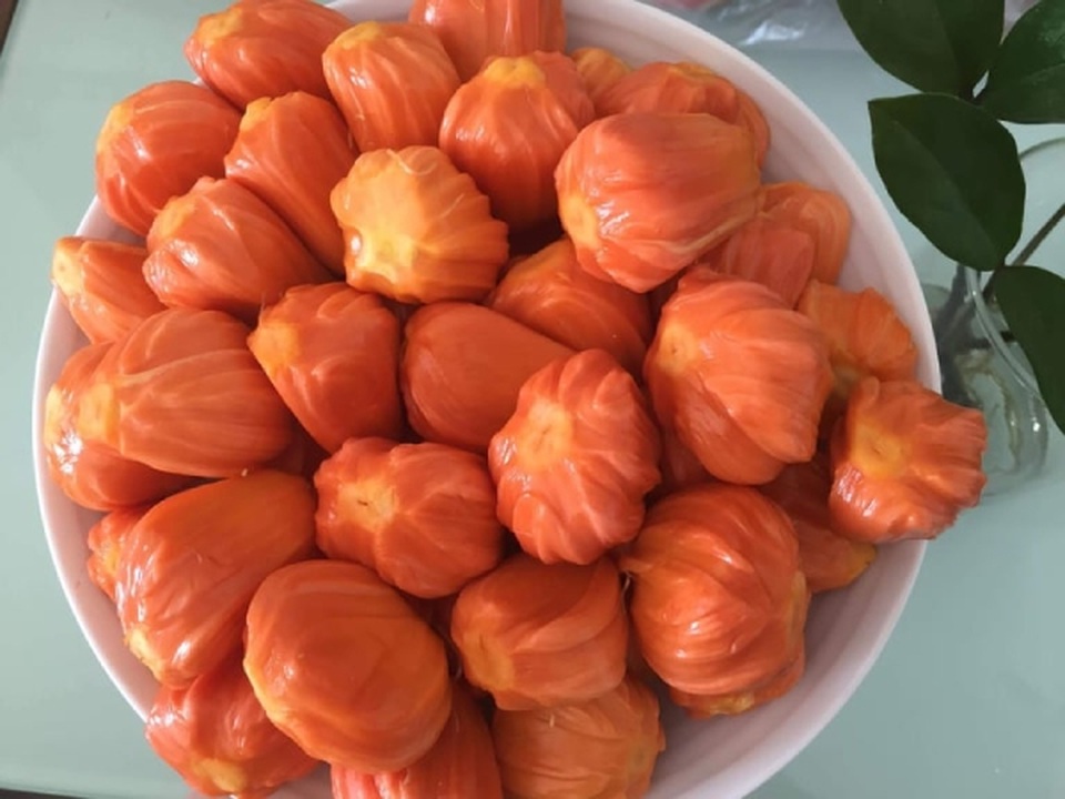 Mít có màu lạ đắt gấp 10 lần mít thường vẫn khiến chị em mê mẩn - 4 Mít có màu lạ đắt gấp 10 lần mít thường vẫn khiến chị em mê mẩn - 4