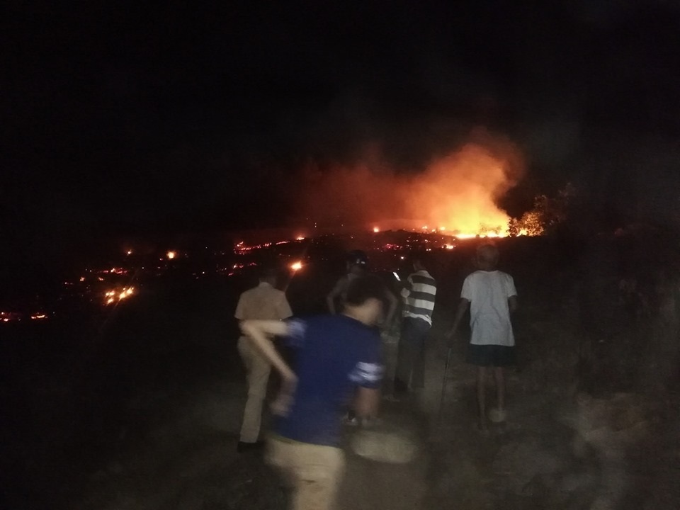 Đồi thông hàng chục năm tuổi bốc cháy ngùn ngụt - 1 Đồi thông hàng chục năm tuổi bốc cháy ngùn ngụt - 1