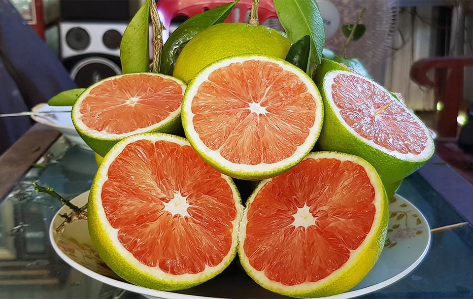 Độc nhất miền Tây: Vườn cam ruột đỏ au, không hề có hạt - 8 Độc nhất miền Tây: Vườn cam ruột đỏ au, không hề có hạt - 8