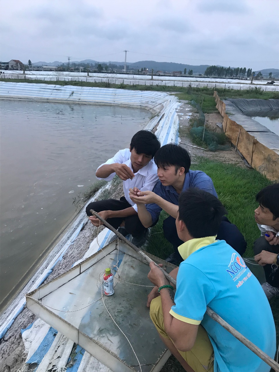 Đào tạo kỹ sư ngành Bệnh học thủy sản - 4 Đào tạo kỹ sư ngành Bệnh học thủy sản - 4