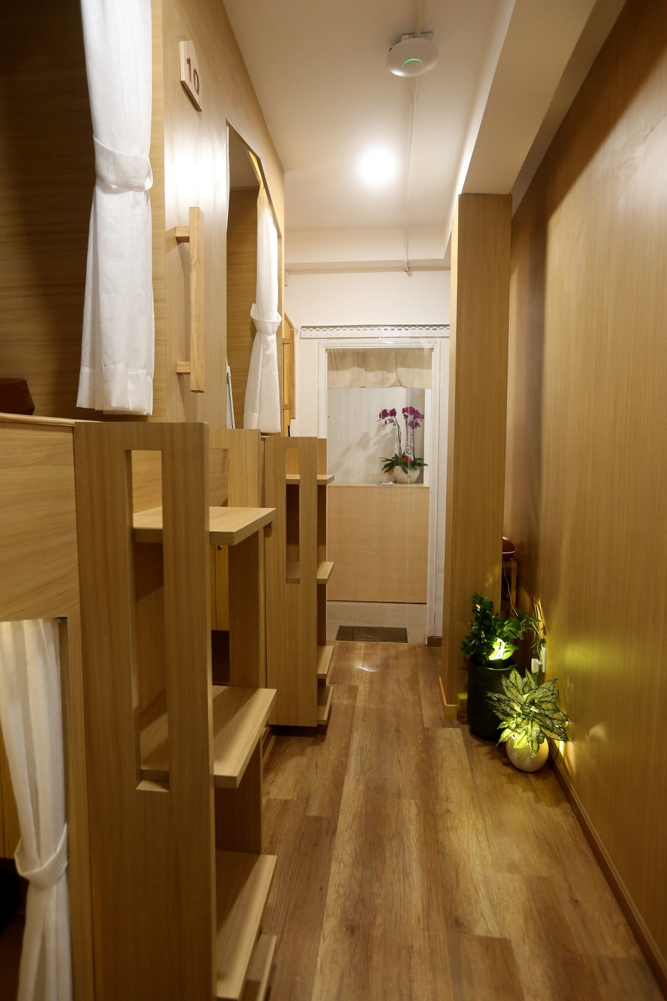 cà phê tổ ong cà phê tổ ong