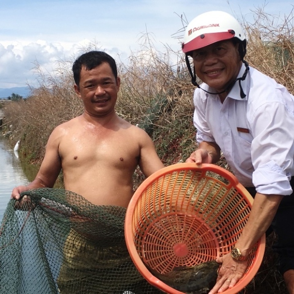 Kiếm tiền tỷ nhờ cho nuôi cá mú chung nhà với ốc hương - 4 Kiếm tiền tỷ nhờ cho nuôi cá mú chung nhà với ốc hương - 4