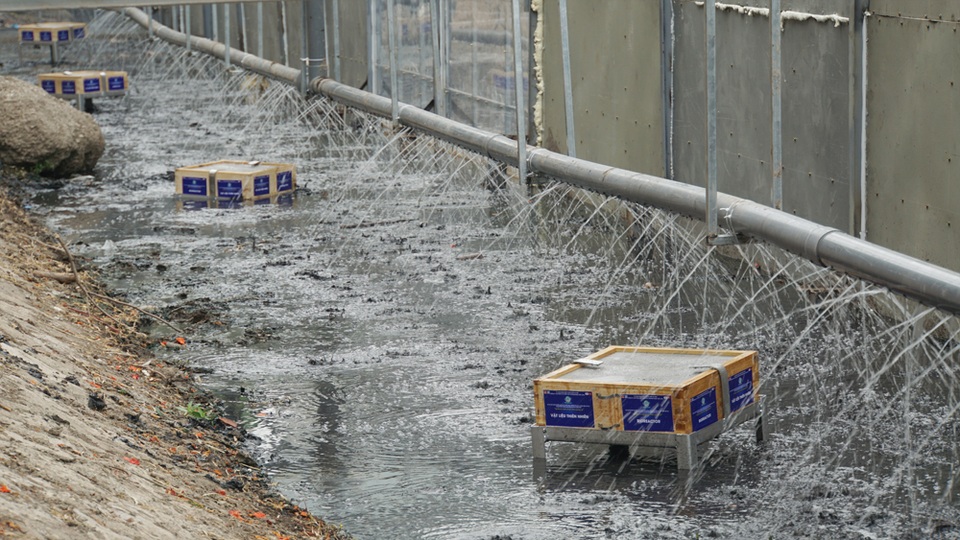 Xem màn trình diễn biến bùn thành CO2 và nước trên sông Tô Lịch - 12 Xem màn trình diễn biến bùn thành CO2 và nước trên sông Tô Lịch - 12