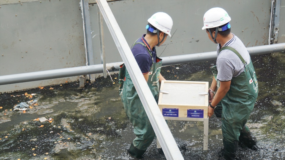 Xem màn trình diễn biến bùn thành CO2 và nước trên sông Tô Lịch - 9 Xem màn trình diễn biến bùn thành CO2 và nước trên sông Tô Lịch - 9