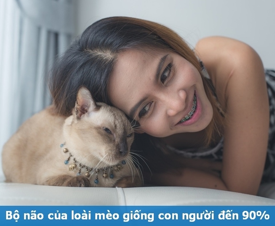 Những “Fun Facts” sẽ khiến bạn phải bất ngờ về thú cưng của mình! - 4 Những “Fun Facts” sẽ khiến bạn phải bất ngờ về thú cưng của mình! - 4