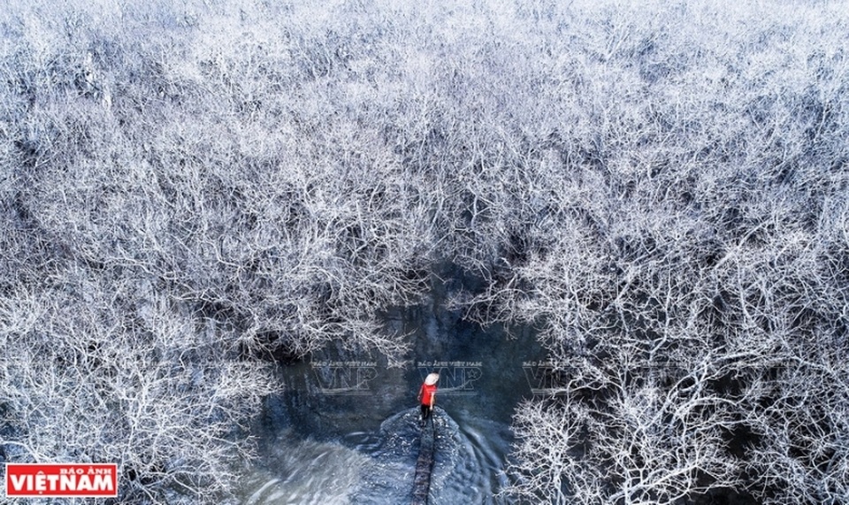 Phong cảnh Việt Nam - những bức hình tuyệt đẹp nhìn từ trên cao - 11