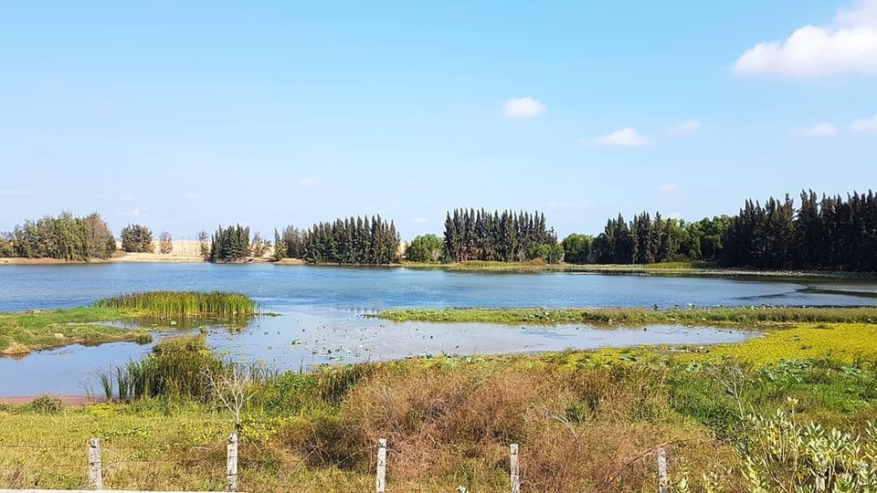Khám phá Bàu Trắng – nơi được mệnh danh là “sa mạc Sahara ở Việt Nam” - 3 Khám phá Bàu Trắng – nơi được mệnh danh là “sa mạc Sahara ở Việt Nam” - 3