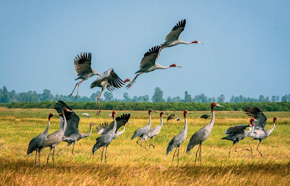 Các nhà báo tổ chức triển lãm gây quỹ từ thiện nhân ngày Báo chí Việt Nam - 3 Các nhà báo tổ chức triển lãm gây quỹ từ thiện nhân ngày Báo chí Việt Nam - 3