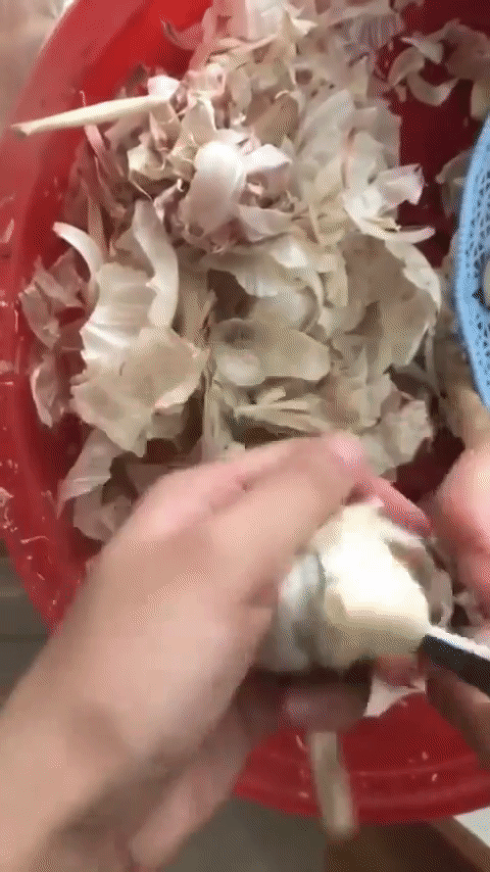 Mẹo bóc tỏi siêu nhanh thu hút hơn 22 triệu lượt xem - 1 Mẹo bóc tỏi siêu nhanh thu hút hơn 22 triệu lượt xem - 1
