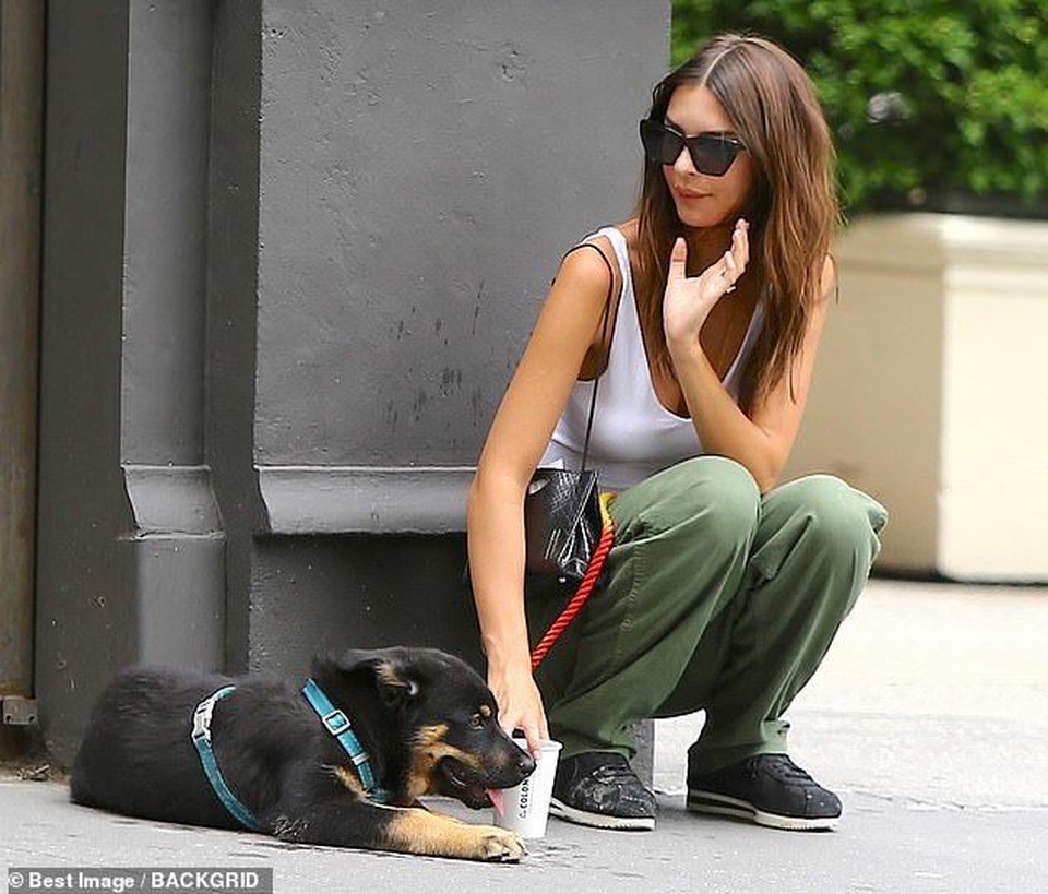 Emily Ratajkowski hôn chồng trên phố - 3 Emily Ratajkowski hôn chồng trên phố - 3