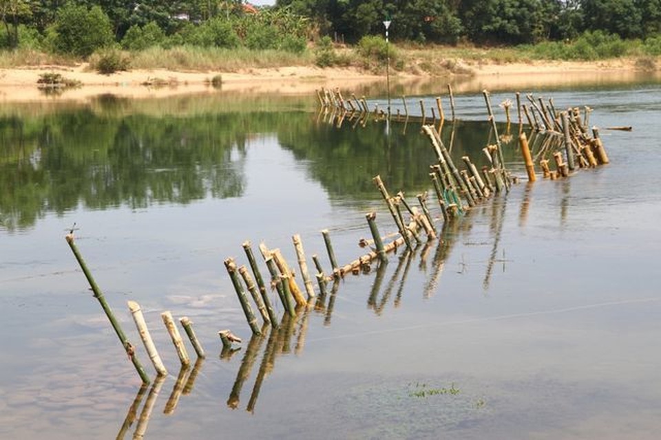 Người dân dỡ “trận địa” cọc tre trên sông sau “cuộc chiến” với cát tặc thành công - 1 Người dân dỡ “trận địa” cọc tre trên sông sau “cuộc chiến” với cát tặc thành công - 1