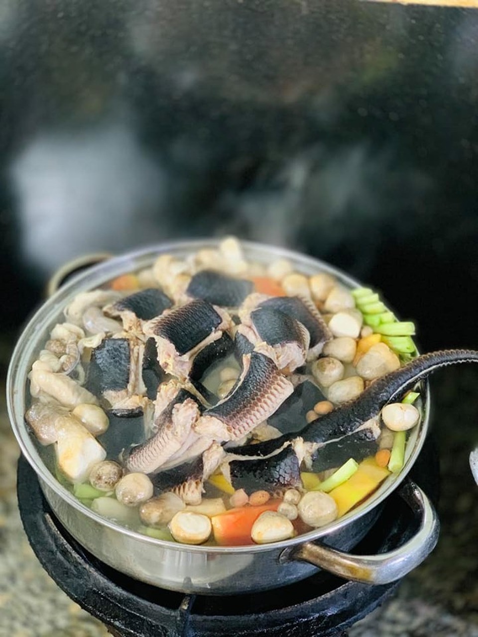 Khóc thét với lẩu rắn hổ hành – đặc sản chỉ có ở miền Tây sông nước - 3 Khóc thét với lẩu rắn hổ hành – đặc sản chỉ có ở miền Tây sông nước - 3