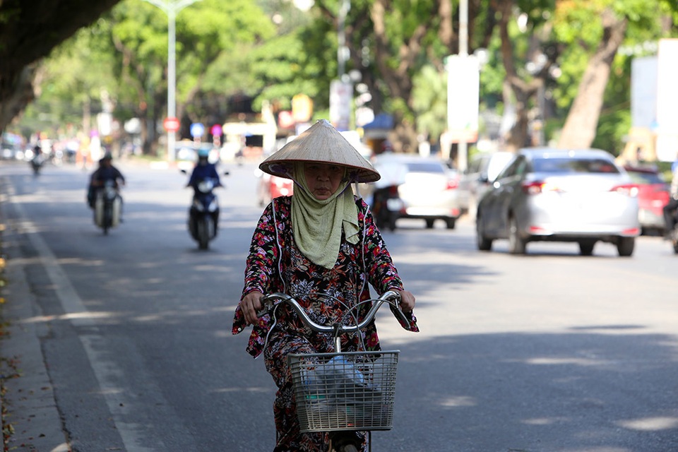Bóng mát quý giá trên đường phố Hà Nội ngày nóng đỉnh điểm - 11 Bóng mát quý giá trên đường phố Hà Nội ngày nóng đỉnh điểm - 11