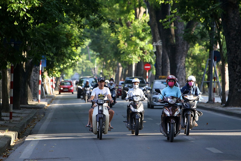 Bóng mát quý giá trên đường phố Hà Nội ngày nóng đỉnh điểm - 9 Bóng mát quý giá trên đường phố Hà Nội ngày nóng đỉnh điểm - 9