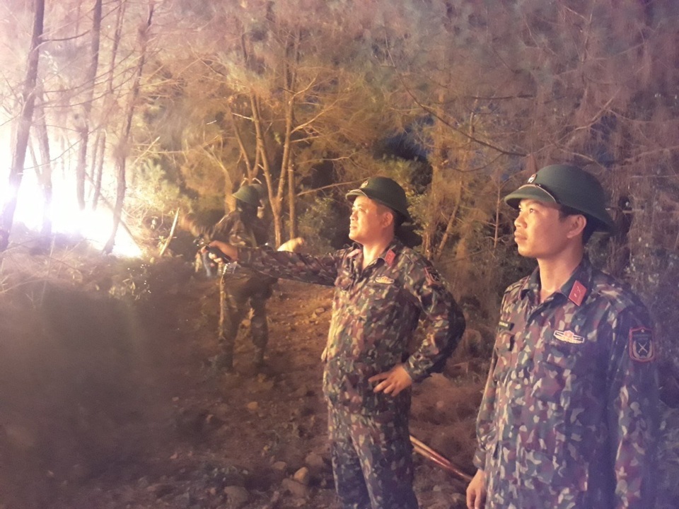 Gần 3.000 người trắng đêm dập lửa cứu rừng thông cổ thụ - 2