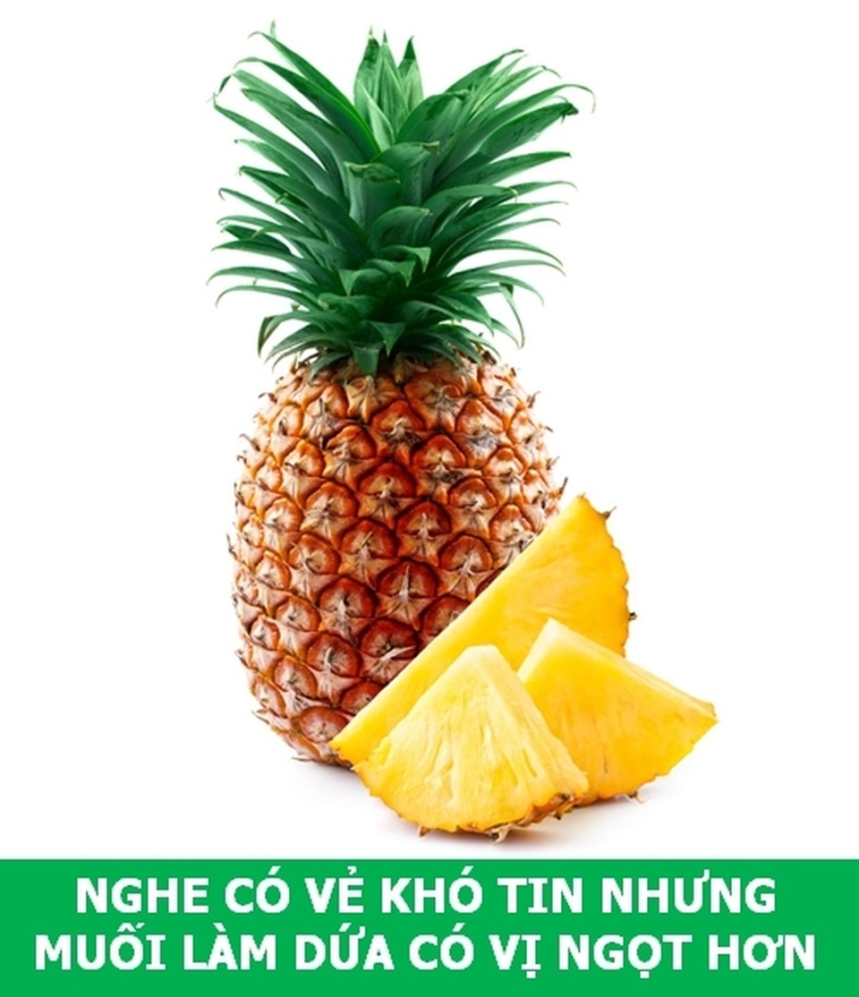“Học mà chơi”: Những sự thật khoa học thú vị cho ngày cuối tuần! - 1 “Học mà chơi”: Những sự thật khoa học thú vị cho ngày cuối tuần! - 1