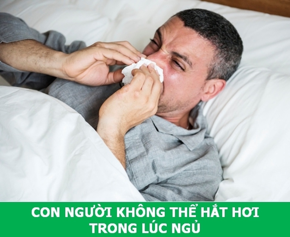 “Học mà chơi”: Những sự thật khoa học thú vị cho ngày cuối tuần! - 2 “Học mà chơi”: Những sự thật khoa học thú vị cho ngày cuối tuần! - 2
