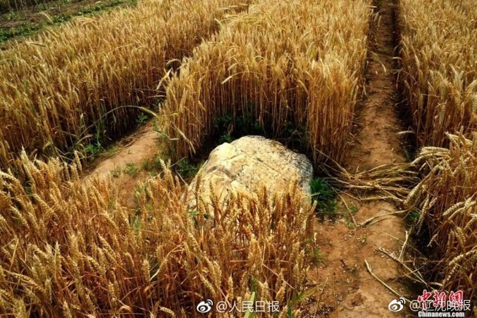 Ngọn núi “bước một chân là lên tới đỉnh” gây tranh cãi - 4 Ngọn núi “bước một chân là lên tới đỉnh” gây tranh cãi - 4