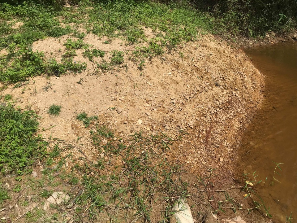 Đập nước dự phòng chết mòn, rừng thông quanh khu di tích rơi vào “báo động đỏ”? - 2 Đập nước dự phòng chết mòn, rừng thông quanh khu di tích rơi vào “báo động đỏ”? - 2