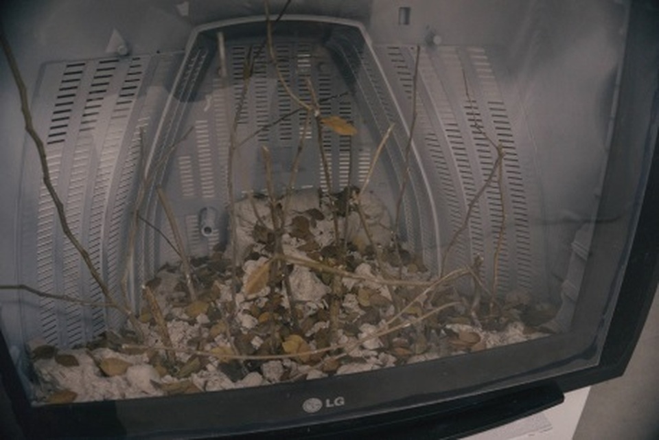 Con người ở đâu trong “Hành tinh của nhựa”? - 8