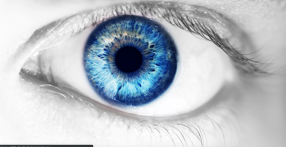 Mắt người cũng có rất nhiều vi khuẩn? - 1 Mắt người cũng có rất nhiều vi khuẩn? - 1