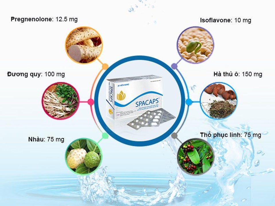 Thực phẩm bảo vệ sức khỏe Spacaps có công dụng gì? - 2 Thực phẩm bảo vệ sức khỏe Spacaps có công dụng gì? - 2