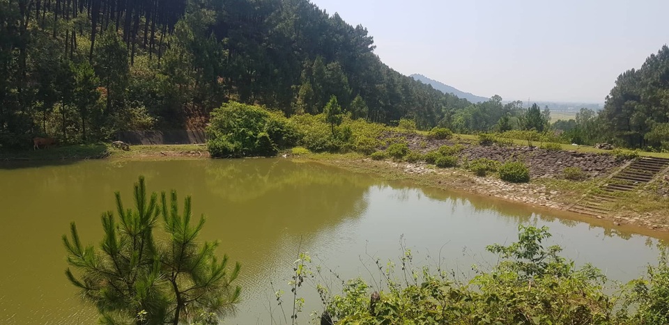 Đập nước dự phòng chết mòn, rừng thông quanh khu di tích rơi vào “báo động đỏ”? - 13 Đập nước dự phòng chết mòn, rừng thông quanh khu di tích rơi vào “báo động đỏ”? - 13