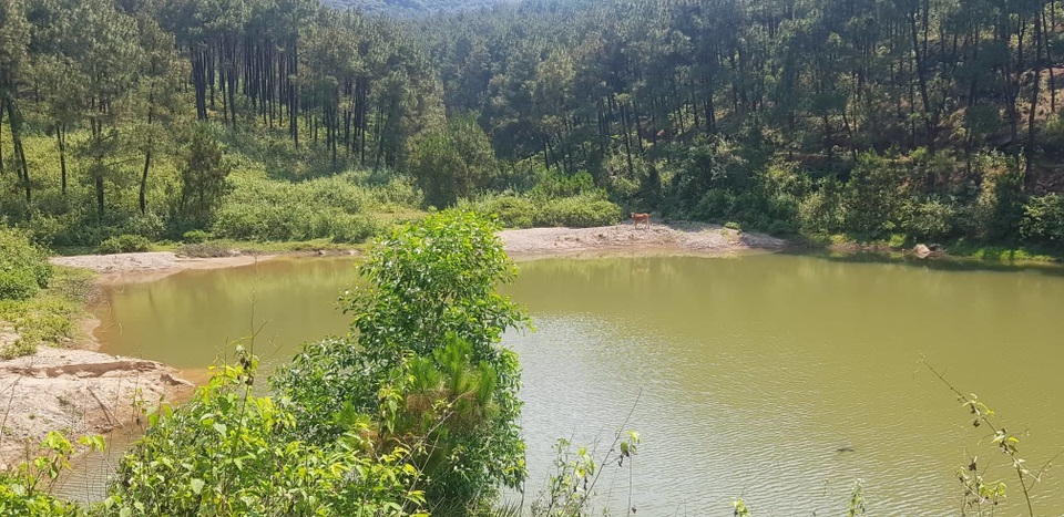 Đập nước dự phòng chết mòn, rừng thông quanh khu di tích rơi vào “báo động đỏ”? - 14 Đập nước dự phòng chết mòn, rừng thông quanh khu di tích rơi vào “báo động đỏ”? - 14