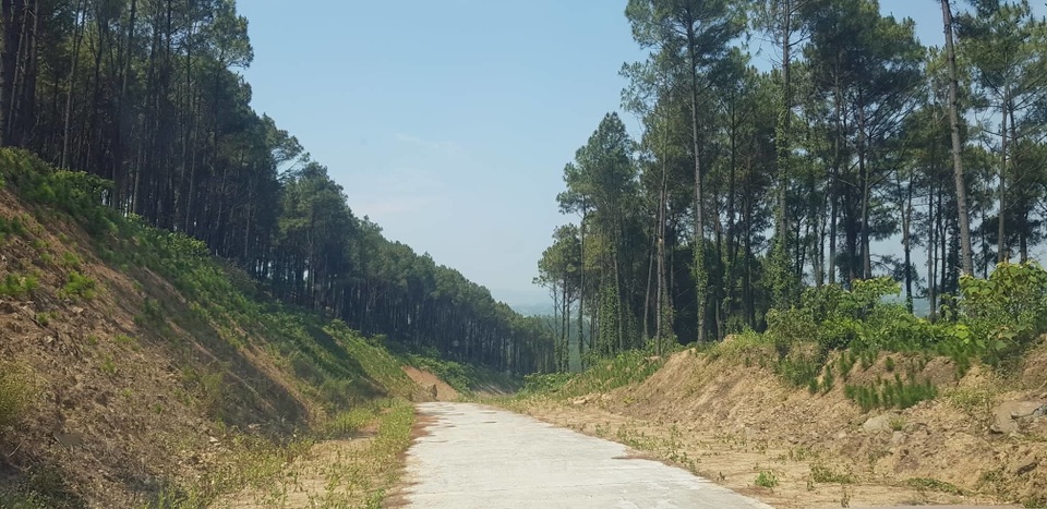 Đập nước dự phòng chết mòn, rừng thông quanh khu di tích rơi vào “báo động đỏ”? - 11 Đập nước dự phòng chết mòn, rừng thông quanh khu di tích rơi vào “báo động đỏ”? - 11