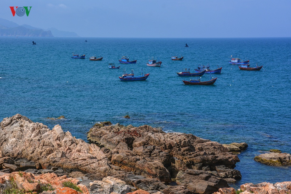 Mùa hè xanh ngắt ở xứ “hoa vàng, cỏ xanh” - 1 Mùa hè xanh ngắt ở xứ “hoa vàng, cỏ xanh” - 1