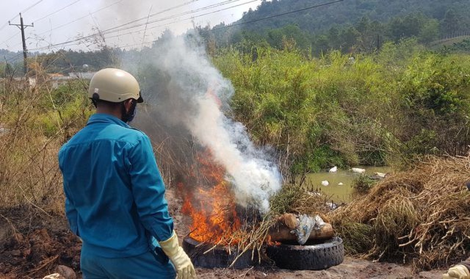 Phát hiện ổ dịch tả lợn Châu Phi tại Lâm Đồng - 1 Phát hiện ổ dịch tả lợn Châu Phi tại Lâm Đồng - 1