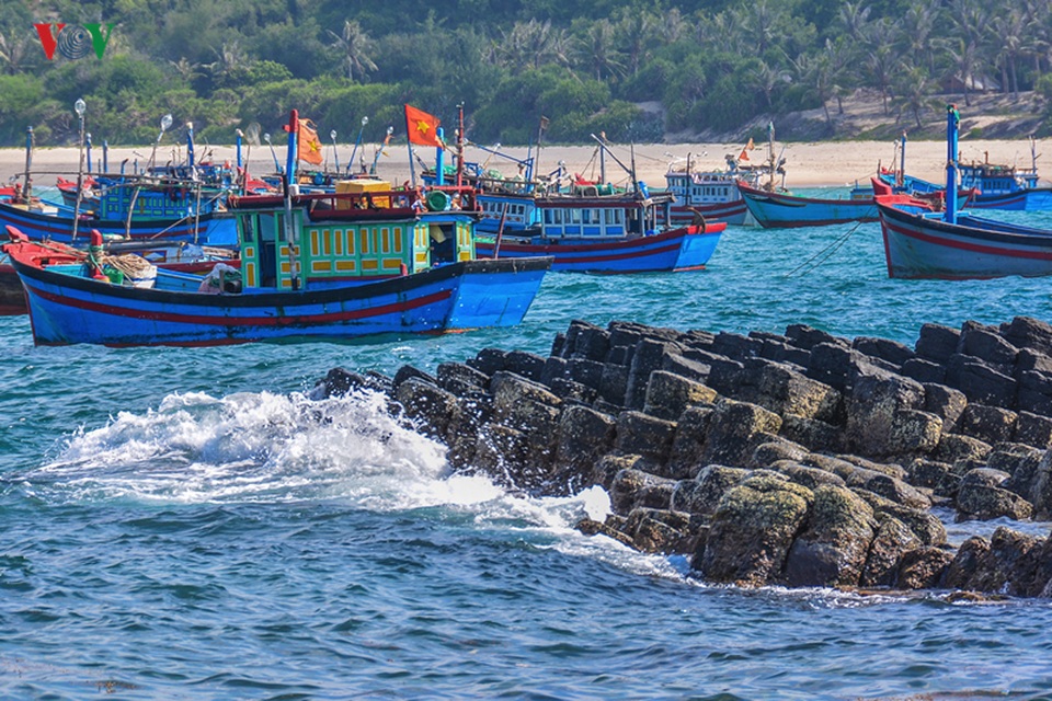 Mùa hè xanh ngắt ở xứ “hoa vàng, cỏ xanh” - 3 Mùa hè xanh ngắt ở xứ “hoa vàng, cỏ xanh” - 3