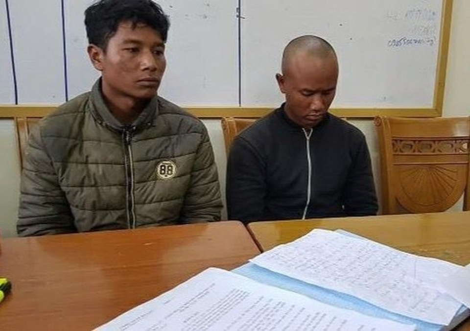 Mật phục bắt 2 đối tượng cưa hạ rừng thông Đà Lạt trong đêm - 1 Mật phục bắt 2 đối tượng cưa hạ rừng thông Đà Lạt trong đêm - 1