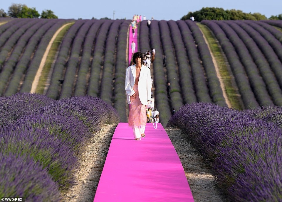Xao xuyến trước sàn catwalk nằm giữa cánh đồng hoa oải hương - 2 Xao xuyến trước sàn catwalk nằm giữa cánh đồng hoa oải hương - 2
