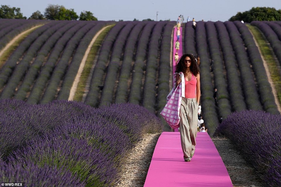 Xao xuyến trước sàn catwalk nằm giữa cánh đồng hoa oải hương - 10 Xao xuyến trước sàn catwalk nằm giữa cánh đồng hoa oải hương - 10