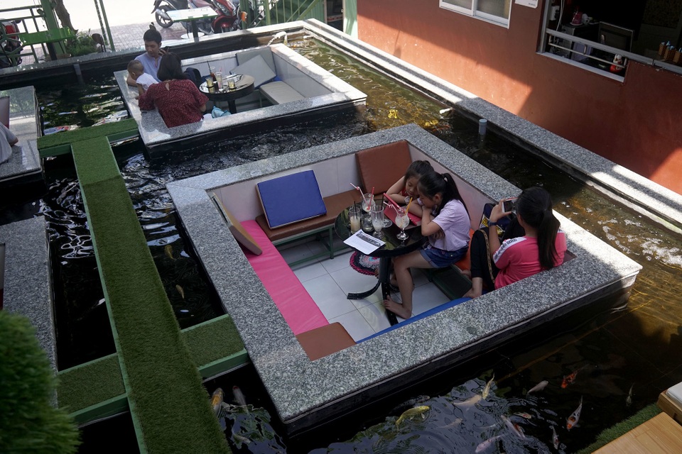 cà phê hồ cá.JPG