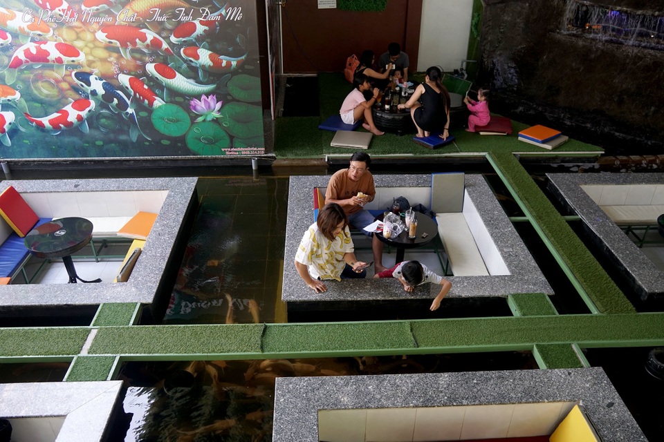 cà phê hồ cá.JPG