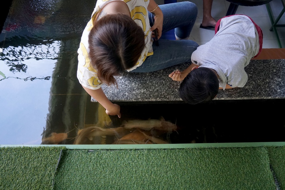 cà phê hồ cá.JPG