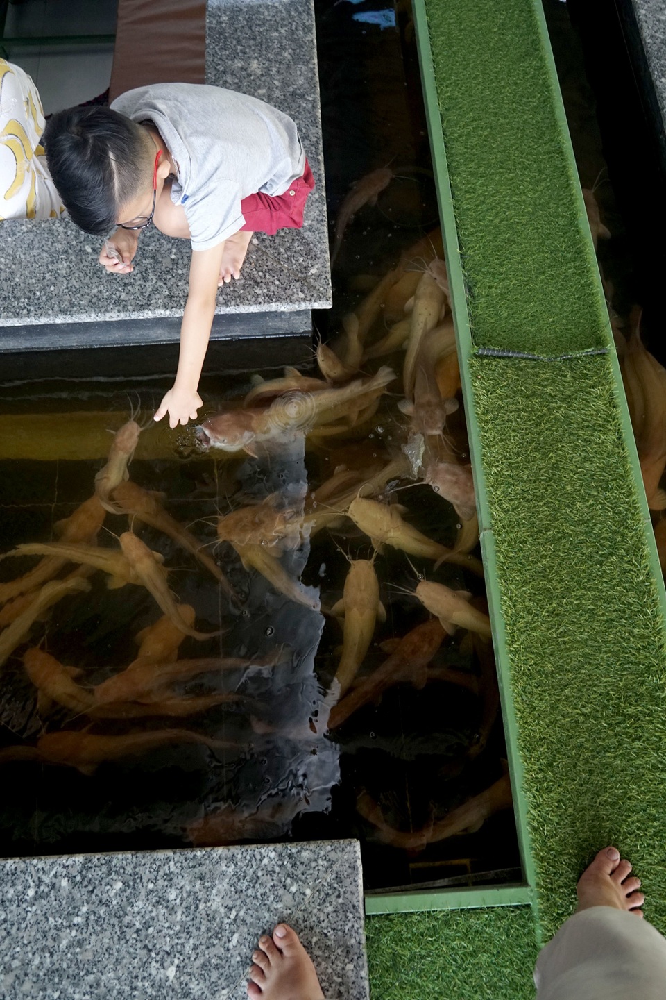 cà phê hồ cá.JPG