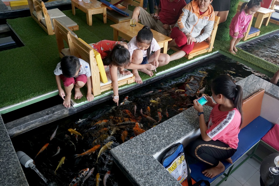 cà phê hồ cá.JPG