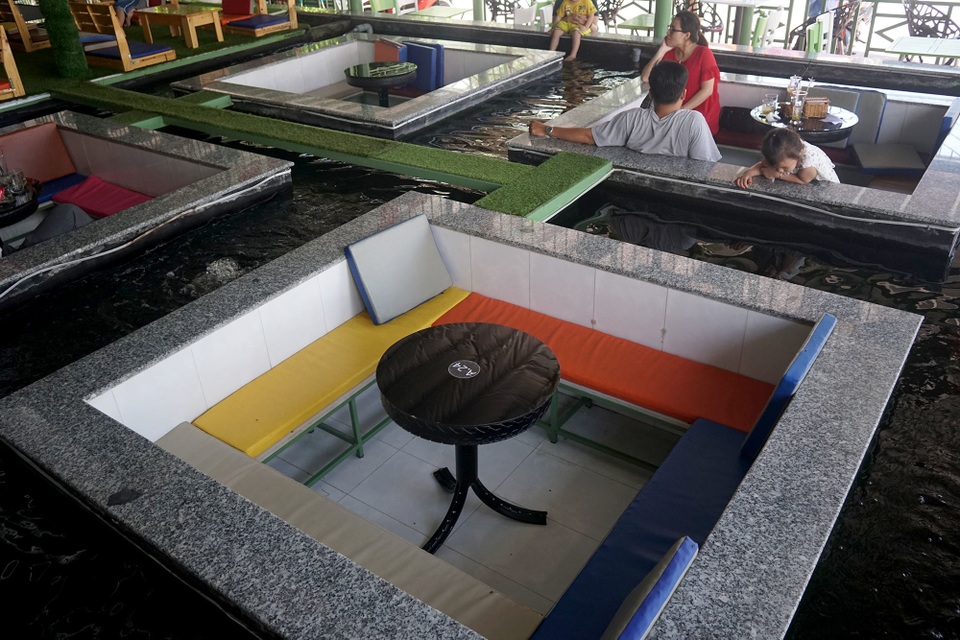 cà phê hồ cá.JPG