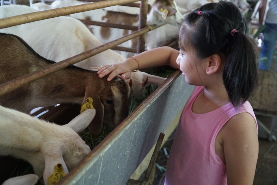 Học sinh khuyết tật Thụy An trải nghiệm “Nông trại vui vẻ” - 4 Học sinh khuyết tật Thụy An trải nghiệm “Nông trại vui vẻ” - 4