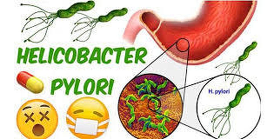 Ăn đũa, hôn hít, mớm cơm: HP lan tràn ra đấy! - 2