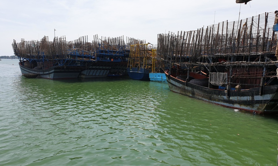Hàng trăm tấn mực khô tồn kho của ngư dân Quảng Nam Hàng trăm tấn mực khô tồn kho của ngư dân Quảng Nam