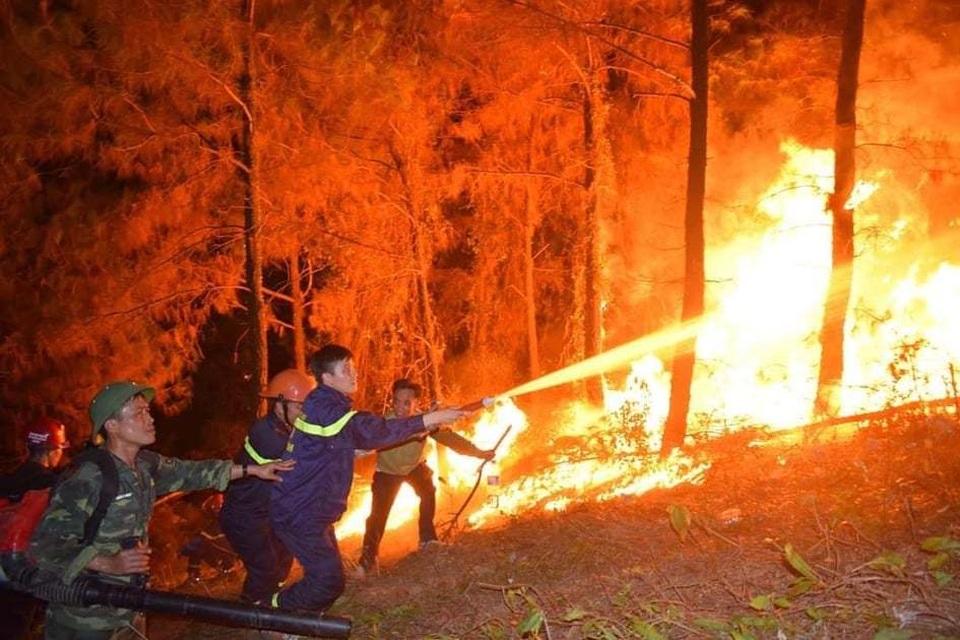 Vụ cháy rừng trong đêm: Lửa lại bùng phát dữ dội vào sáng sớm - 2 Vụ cháy rừng trong đêm: Lửa lại bùng phát dữ dội vào sáng sớm - 2