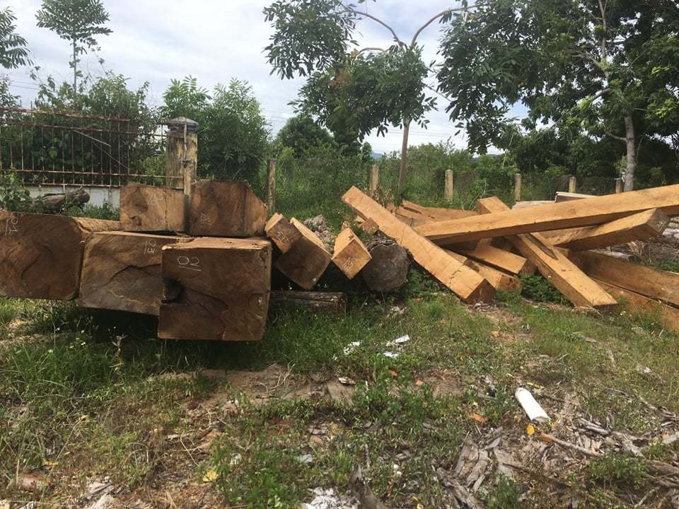 Phát hiện vận chuyển và tập kết gỗ lậu, “lâm tặc” bỏ gỗ “tẩu thoát” - 1 Phát hiện vận chuyển và tập kết gỗ lậu, “lâm tặc” bỏ gỗ “tẩu thoát” - 1