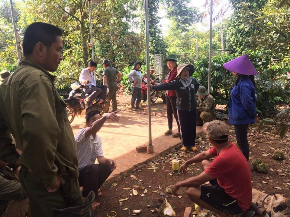 Vườn sầu riêng nghi bị đầu độc, thiệt hại trên 300 triệu đồng - 2 Vườn sầu riêng nghi bị đầu độc, thiệt hại trên 300 triệu đồng - 2