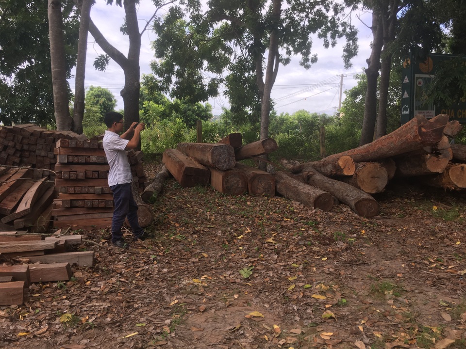 Phát hiện vận chuyển và tập kết gỗ lậu, “lâm tặc” bỏ gỗ “tẩu thoát” - 2 Phát hiện vận chuyển và tập kết gỗ lậu, “lâm tặc” bỏ gỗ “tẩu thoát” - 2