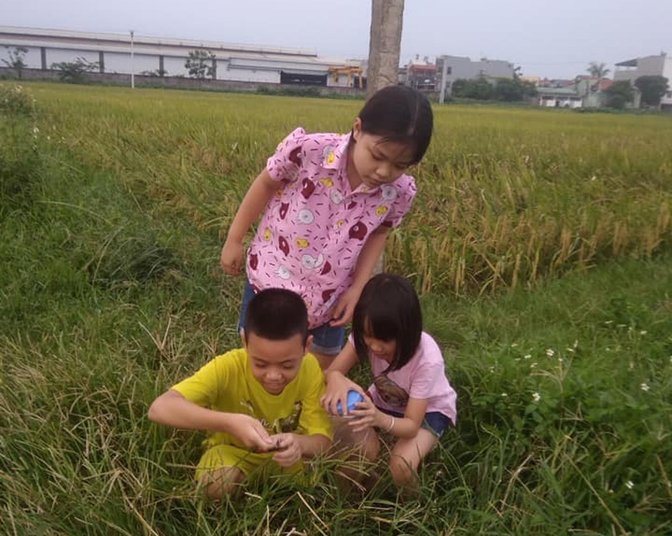 Trẻ con cần được nghỉ hè đúng nghĩa - 2 Trẻ con cần được nghỉ hè đúng nghĩa - 2