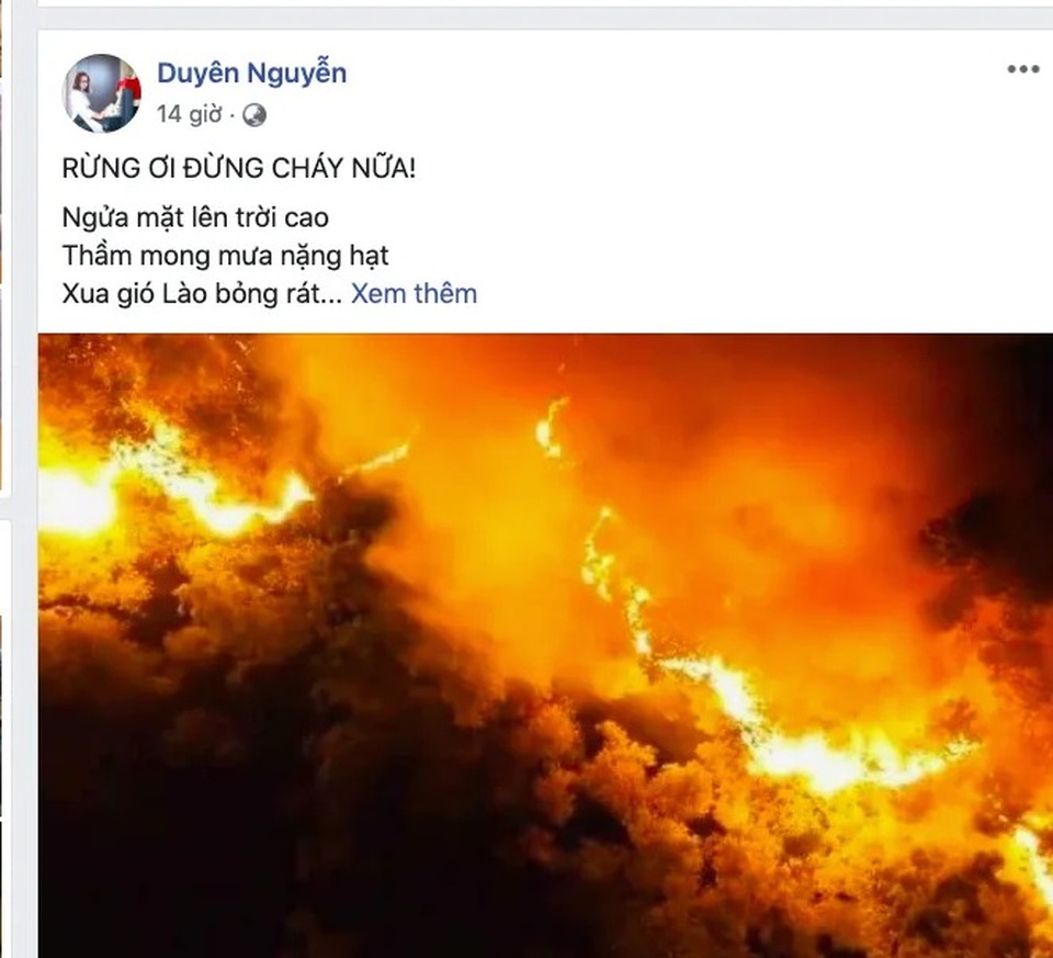 Khóc cùng bài thơ Rừng ơi, đừng cháy nữa! của cô giáo dạy Sử - 1 Khóc cùng bài thơ Rừng ơi, đừng cháy nữa! của cô giáo dạy Sử - 1